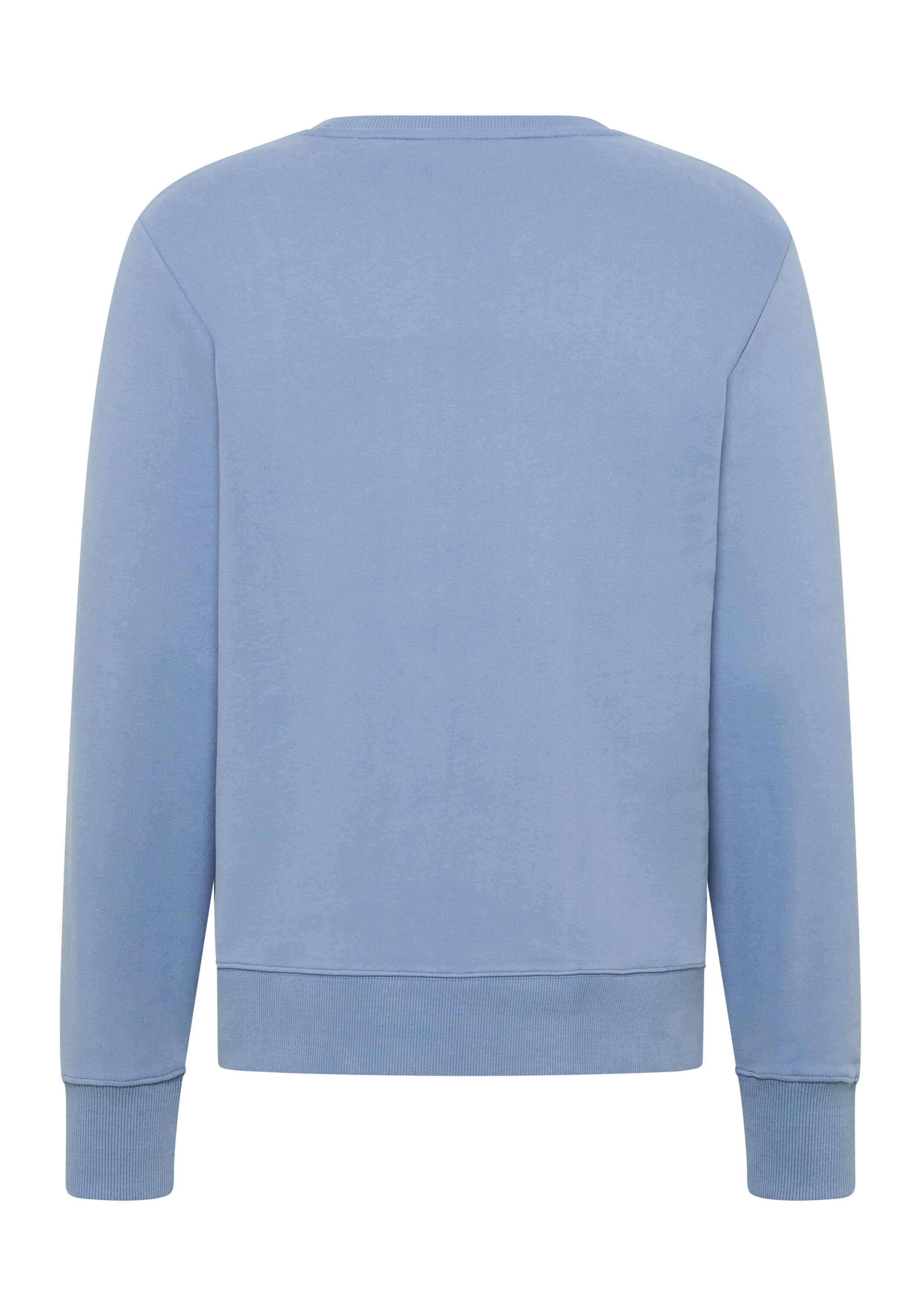 Rückansicht eines gemütlichen hellblauen Freizeit-Sweatshirts mit gerippten Bündchen und Saum.