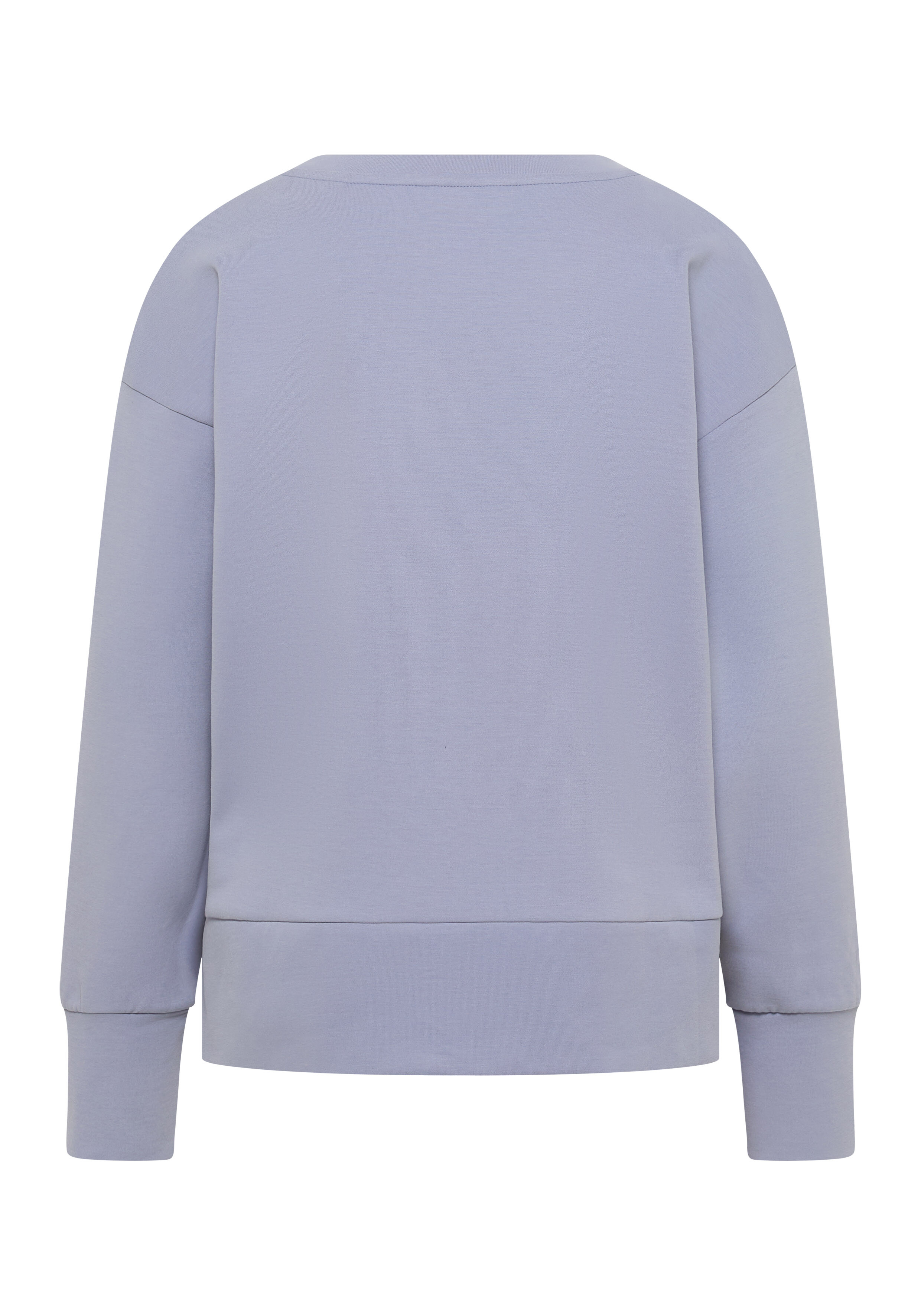 Rückansicht eines gemütlichen hellblauen Freizeit-Sweatshirts mit langen Ärmeln.