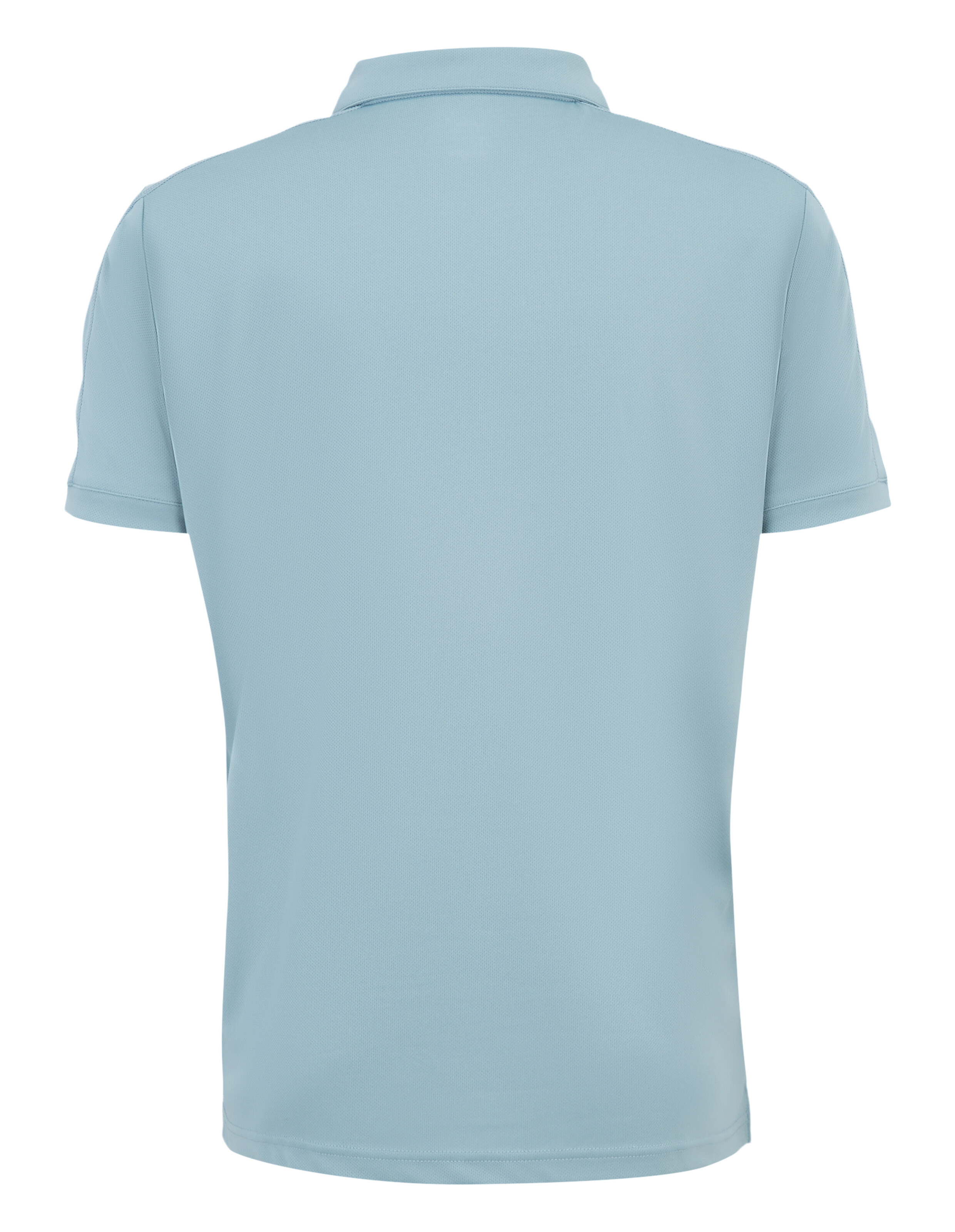 Hellblaues Kurzarm-Poloshirt aus Baumwolle, Rückansicht, mit klassischem Kragen und geradem Saum, schlichtes, glattes Design.