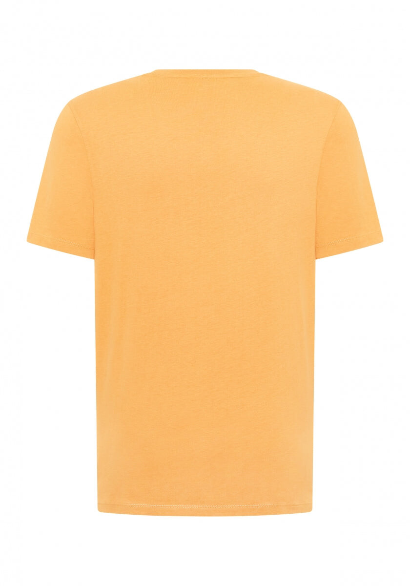 Finn T-Shirt regular fit von Elbsand in Cadmium Orange