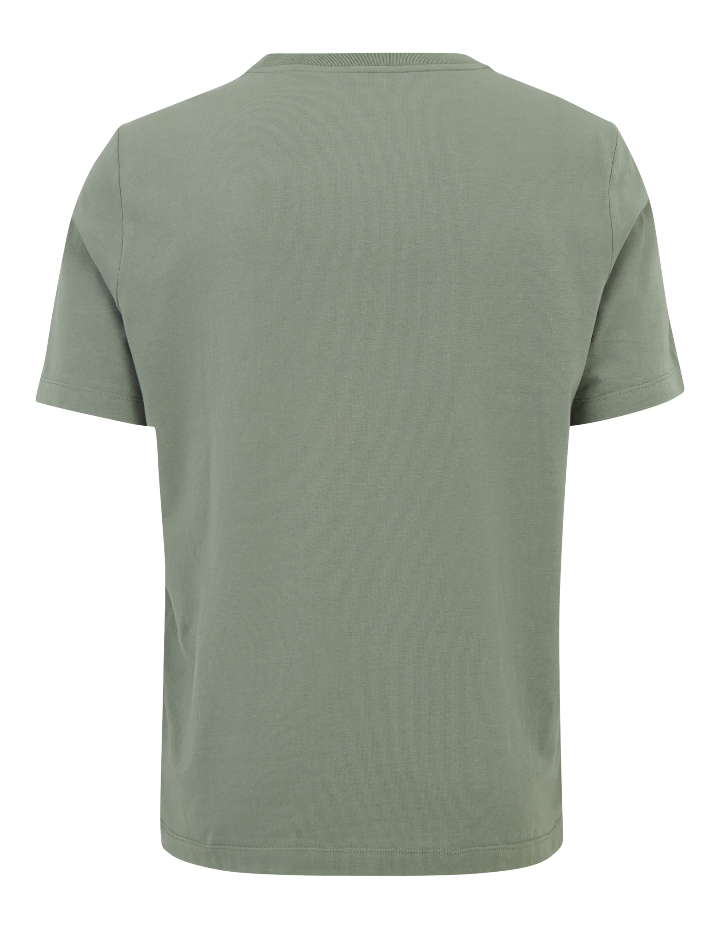 Rückansicht eines lässigen grünen T-Shirts, perfekt für entspannte Ausflüge und Faulenzen.