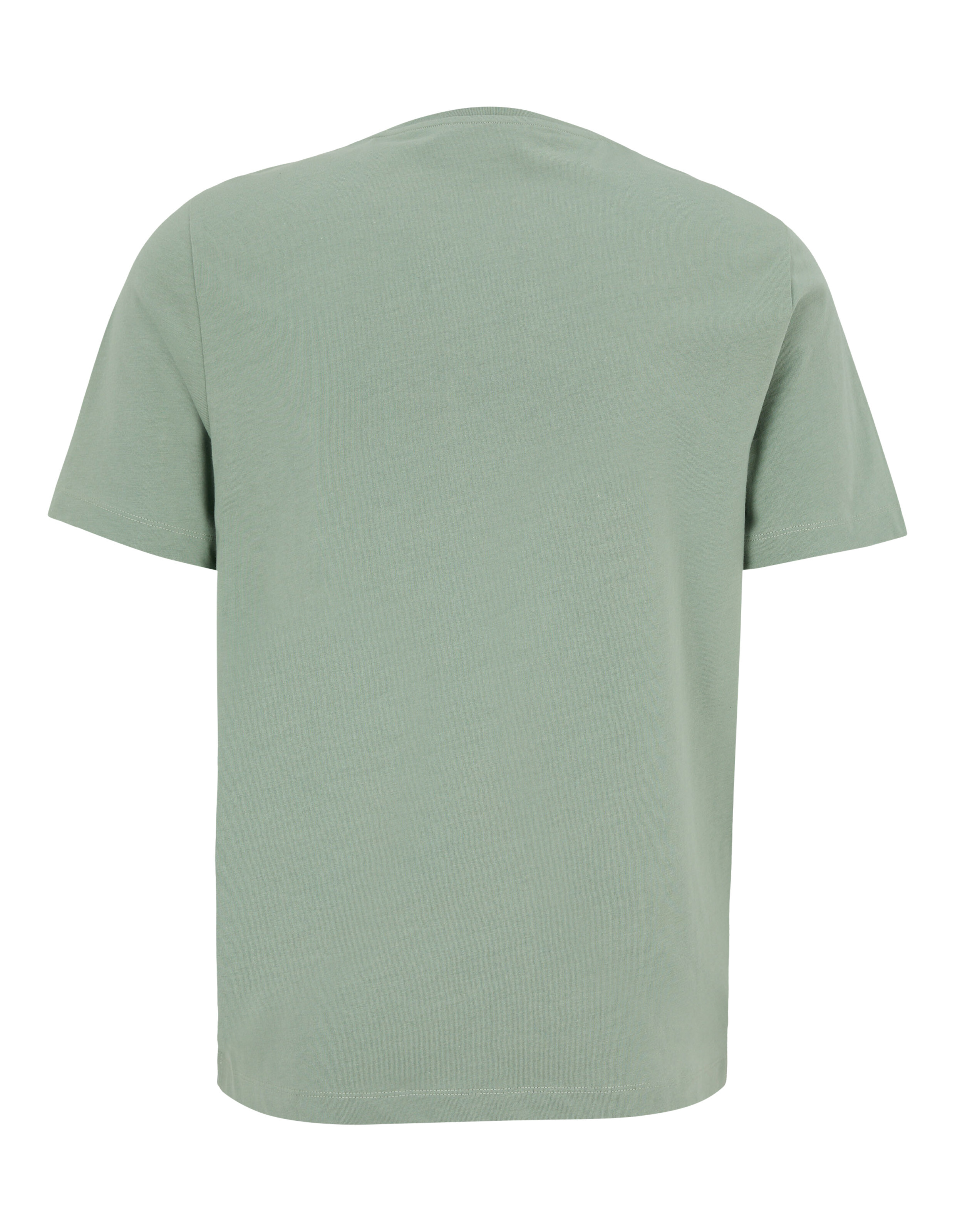 Rückansicht eines weichen grünen Freizeit-T-Shirts für bequemes Tragen im Alltag.