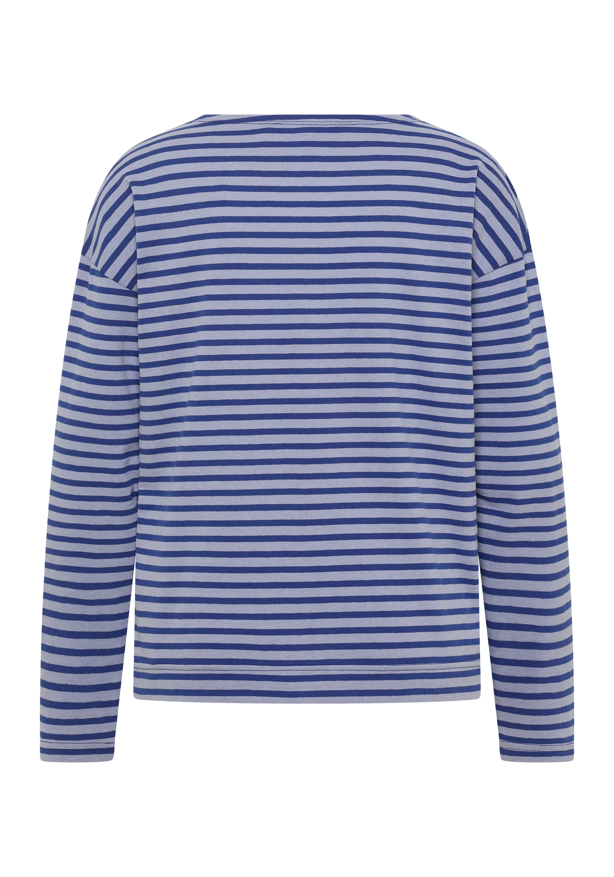 Rückansicht eines blau-grau gestreiften Langarm-Freizeithemdes für Damen.